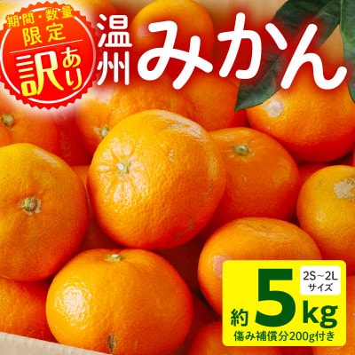 [訳あり]温州みかん約5kg 傷み補償200g付き(宮崎市)