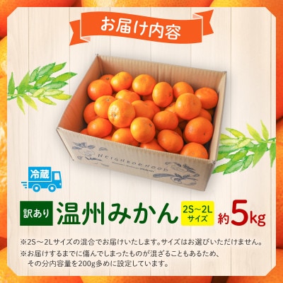 [訳あり]温州みかん約5kg 傷み補償200g付き(宮崎市)