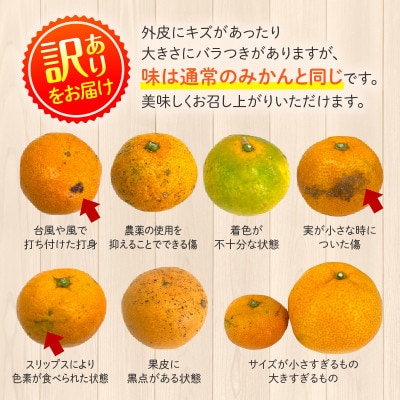 [訳あり]温州みかん約5kg 傷み補償200g付き(宮崎市)