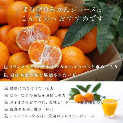 【毎月定期便】まる搾りみかんジュース 1000ml×3本(宮崎市)全12回