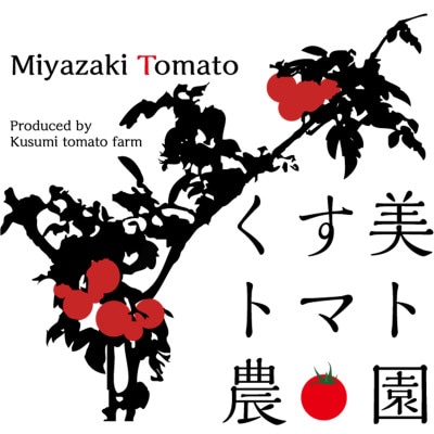 美トマト(5色)1kg
