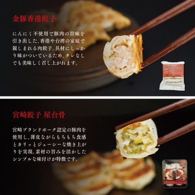 宮崎餃子　Aセット(風味バラエティセット)