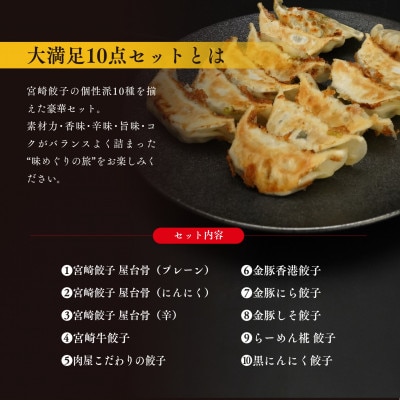 宮崎餃子　大満足10点セット