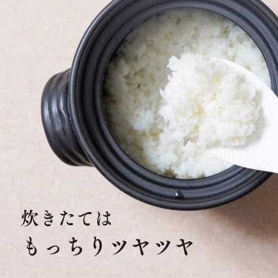 【令和8年産・新米】井野農園のコシヒカリ