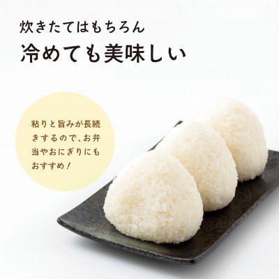 【令和8年産・新米】井野農園のコシヒカリ