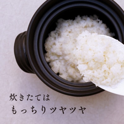 【令和8年産・新米】井野農園のひのひかり