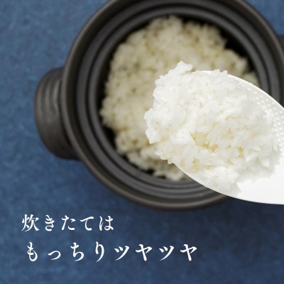 【令和8年産・新米】井野農園のほしじるし