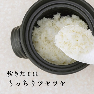 【令和8年産・新米】井野農園のミルキークイーン