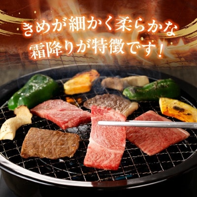 宮崎牛霜降り焼肉(宮崎市)