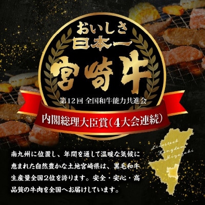 宮崎牛霜降り焼肉(宮崎市)