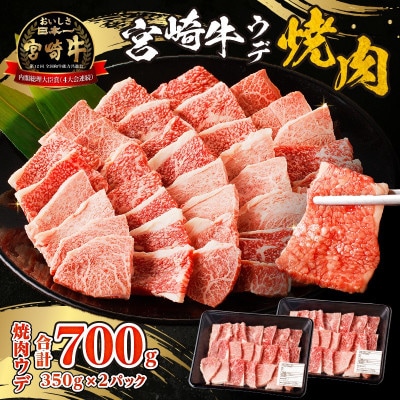 宮崎牛赤身(ウデ)焼肉(宮崎市)