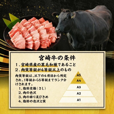 宮崎牛赤身(ウデ)焼肉(宮崎市)