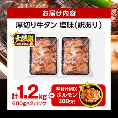 訳あり 厚切り 牛タン 塩味 約1.2kg(宮崎産岩塩使用)+味付けMIXホルモン300g