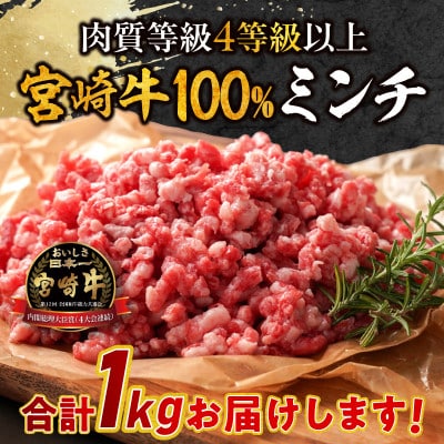 宮崎牛100%ミンチ　ハンバーグ用　1kg(500g×2p)(宮崎市)