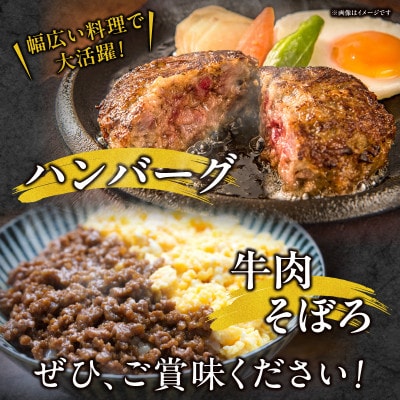 宮崎牛100%ミンチ　ハンバーグ用　1kg(500g×2p)(宮崎市)