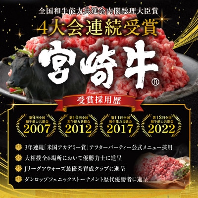 宮崎牛100%ミンチ　ハンバーグ用　1kg(500g×2p)(宮崎市)