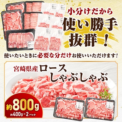 宮崎県産豚肉セット　4.2kg(宮崎市)