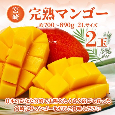 宮崎完熟マンゴー 2Lサイズ 2玉 約700～890g《宮崎グルメ市場》