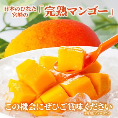 宮崎完熟マンゴー 2Lサイズ 2玉 約700～890g《宮崎グルメ市場》