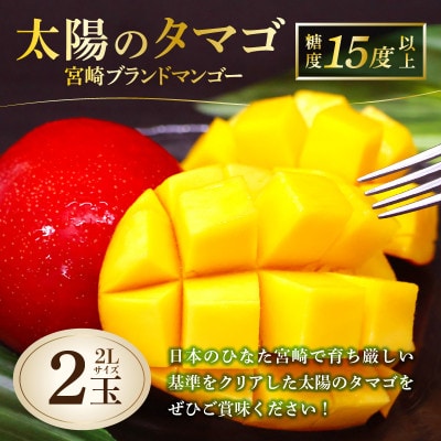 太陽のタマゴ 宮崎ブランドマンゴー 2Lサイズ 2玉 約700g《宮崎グルメ市場》