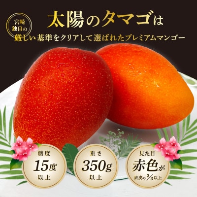 太陽のタマゴ 宮崎ブランドマンゴー 2Lサイズ 2玉 約700g《宮崎グルメ市場》