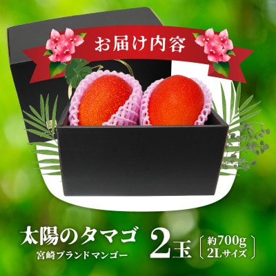 太陽のタマゴ 宮崎ブランドマンゴー 2Lサイズ 2玉 約700g《宮崎グルメ市場》