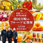 【発送月固定定期便】南国宮崎のフルーツ定期便全12回