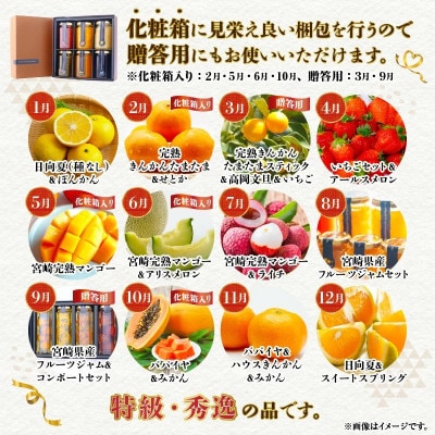 【発送月固定定期便】南国宮崎のフルーツ定期便全12回