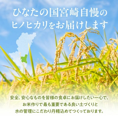 宮崎県産ヒノヒカリ 令和6年産 5kg×2袋 合計10kg