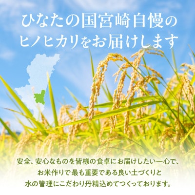 宮崎県産ブレンド米 真空パック 2kg×6袋(合計12kg)