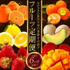 【発送月固定定期便】宮崎の旬なくだものをお届け!くだもの定期便全6回