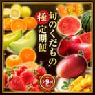 【発送月固定定期便】旬のくだもの【極】定期便全9回