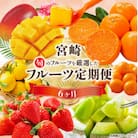 【発送月固定定期便】旬のフルーツ6か月定期便Vol.1(上旬発送)全6回