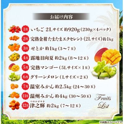 【発送月固定定期便】特選!旬のフルーツ9か月定期便Vol.1(上旬発送)全9回