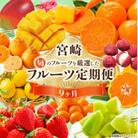 【発送月固定定期便】旬のフルーツ9カ月定期便Vol.1全9回