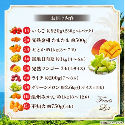 【発送月固定定期便】旬のフルーツ9カ月定期便Vol.1全9回