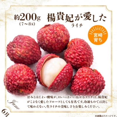 【発送月固定定期便】旬のフルーツ9カ月定期便Vol.1全9回