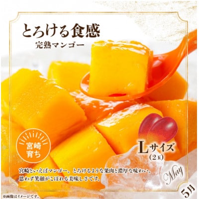 【発送月固定定期便】旬のフルーツ9カ月定期便Vol.1全9回