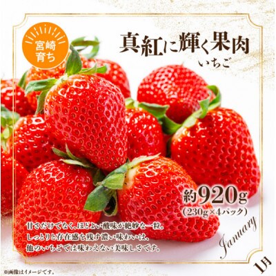 【発送月固定定期便】旬のフルーツ6カ月定期便Vol.2全6回