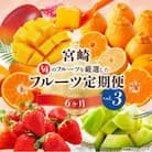 【発送月固定定期便】旬のフルーツ6か月定期便Vol.3全6回