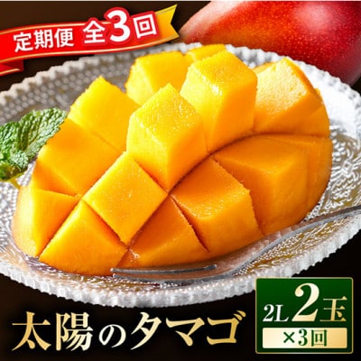 【発送月固定定期便】太陽のタマゴ定期便全3回