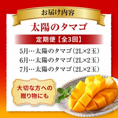 【発送月固定定期便】太陽のタマゴ定期便全3回