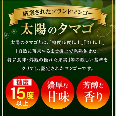 【発送月固定定期便】太陽のタマゴ定期便全3回