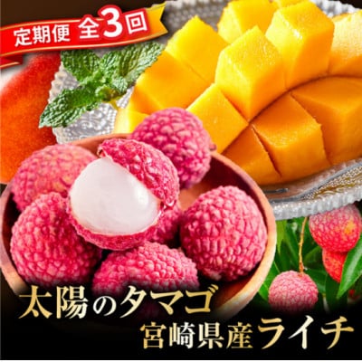 �y�������Œ����ցz���z�̃^�}�S�E���C�`����֑S3��