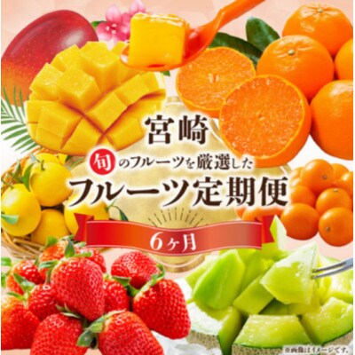 【発送月固定定期便】旬のフルーツ6か月定期便Vol.1(M348-T001)全6回