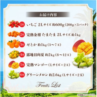 【発送月固定定期便】旬のフルーツ6か月定期便Vol.1(M348-T001)全6回