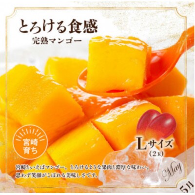 【発送月固定定期便】旬のフルーツ6か月定期便Vol.1(M348-T001)全6回