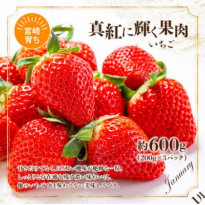 【発送月固定定期便】旬のフルーツ6か月定期便Vol.1(M348-T001)全6回