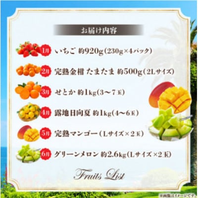 【発送月固定定期便】旬のフルーツ6か月定期便Vol.2(M348-T004)全6回