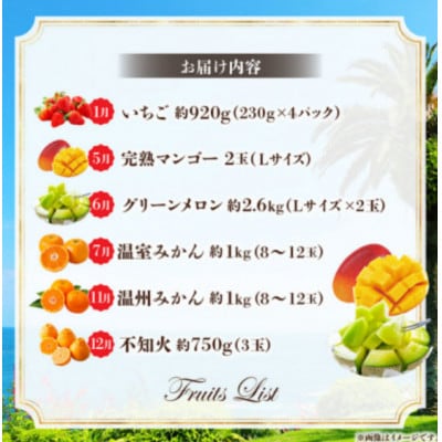 【発送月固定定期便】旬のフルーツ6か月定期便Vol.3(M348-T005)全6回